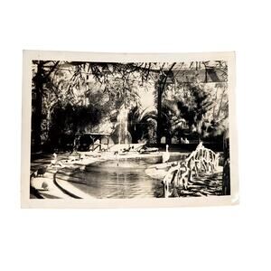 Vtg B&W 1940s Photo Found Bird Park Water Trees Snapshot